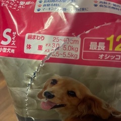 犬用おむつ（Sサイズ）の画像