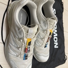 Salomon XT-6 size 27.5
   の画像
