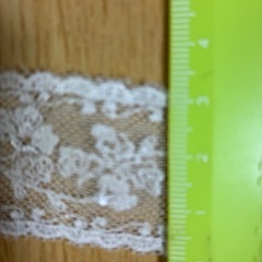 レース ③の画像