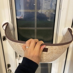 猫の寝るところの画像