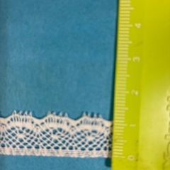 レース ⑧の画像