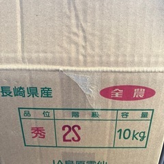 にんじん2Sサイズ10本の画像