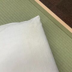 magniflex　ピローグランデの画像