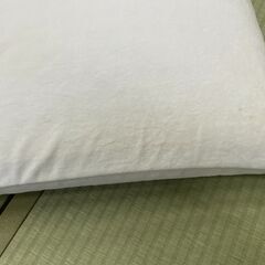 magniflex　ピローグランデの画像