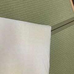 magniflex　ピローグランデの画像