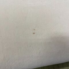 magniflex　ピローサンパウロの画像