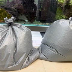 大量 ウィローモス 水草 セットの画像