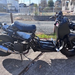 カスタム　ズーマー　の画像