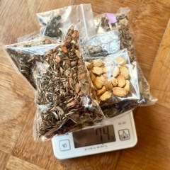 種　百日草　マリーゴールド  まとめ売りの画像