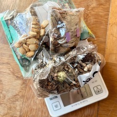 種　百日草　マリーゴールド  まとめ売りの画像