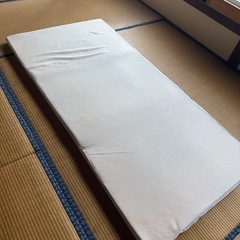 トゥルースリーパー　シングルの画像