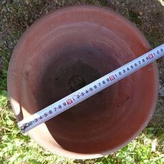 植木鉢 10号 素焼きの画像