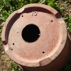 植木鉢 10号 素焼きの画像