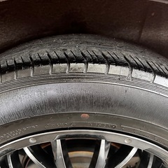 LEHRMEISTER/ LMG ヴァスティアの画像