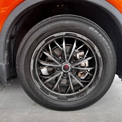 LEHRMEISTER/ LMG ヴァスティアの画像