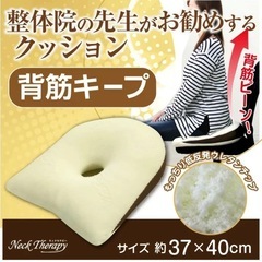 円座クッションの画像