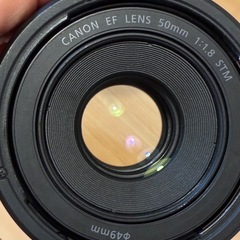 Canon EF50mm f1.8の画像