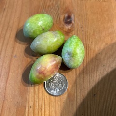 オリーブの実　ジャンボカラマタの画像