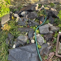 庭の黒い石　もらってください！の画像