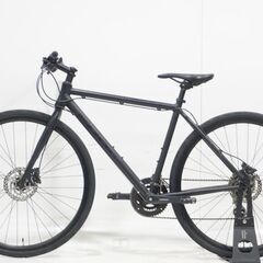 FUJI 「フジ」 RAIZ DISC 2020年モデル クロスバイクの画像