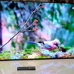 📌～12/11まで 79000円⇒59000円　【動画あり 安いです】程度良好のテレビを探している方向け 映画・ゲームが本当に綺麗です！！ ソニー ブラビア SONY  Bravia 有機ELテレビ 55型 KJ-55A1 2018年製  HDR/倍速 NET動画 スマートテレビ ユーチューブ アマプラ ネットフリックス 観れます！ 美品 使用感無しの画像