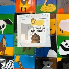 タッチ”ザ"アニマルの画像