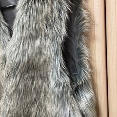 ジャーナルスタンダード　ファーベストの画像