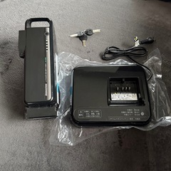 BRIDGESTONE  ラクットワゴン 電動三輪自転車の画像