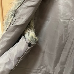 ジャーナルスタンダード　ファーベストの画像