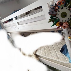 12/13まで掲載します 2段ベッド  エコ塗装 スノコ床 耐荷重700kg LED照明コンセント 耐震構造の画像