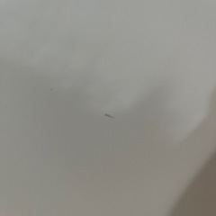 Panasonic 衣類乾燥除湿機 F-YEX120Bの画像