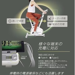 エアロバイク　
alinco AFB7024の画像