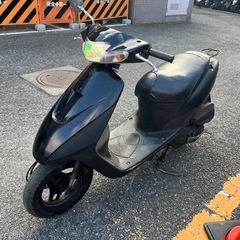 レッツ2❣️🐟他在庫多数見学大歓迎の画像