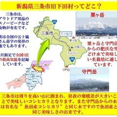 令和7年産新米　減農薬　新潟こしひかり白米10kg 新潟県三条市旧しただ村産 1等米 新潟県認証　特別栽培米100% 　グルテンフリーの画像