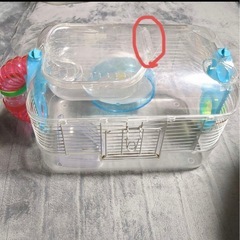 ハムスター用のプラスチックケージの画像