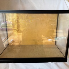 人形、ケースの画像