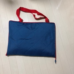 コストコ　レジャーシートの画像