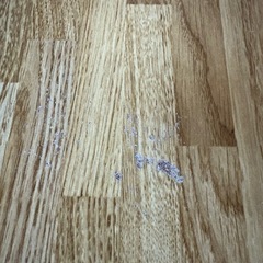 学習机 オフィス机 の画像