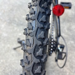 子供(男)自転車　20インチ　FATAの画像