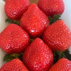 あまおう　朝採れ新鮮いちごの画像