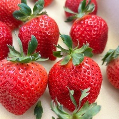 あまおう　朝採れ新鮮いちごの画像
