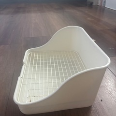ウサギ🐇のトイレの画像