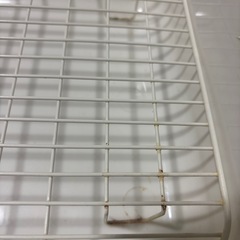 ウサギ🐇のトイレの画像