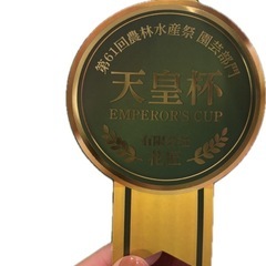 胡蝶蘭(大輪)の画像