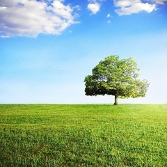 ☘️心が満たされない感覚ないですか？　ご意見や感想を聞かせ…