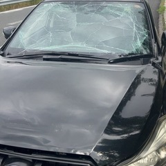 決まりました！ご連絡ありがとうございました！の画像