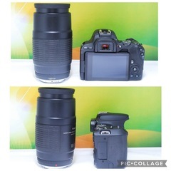 Wi-Fi搭載✨美品✨動作良好✨Canon kiss X9 100-200mm望遠レンズセット 初心者おすすめ スマホ転送の画像