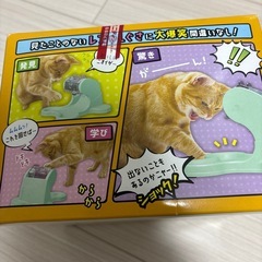 猫のおもちゃの画像