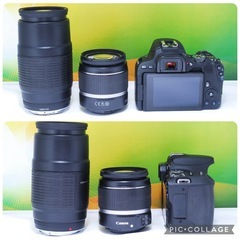 美品✨初心者おすすめ✨Wi-Fi転送✨Canon EOS kiss X9 望遠レンズ ダブルズームセットの画像