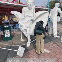 よさこい仲間募集中！